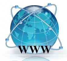Световната мрежа. Историята на името и начина, по който САЩ създадоха интернет