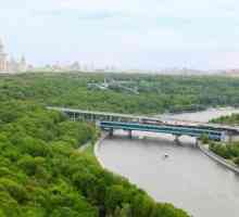 Всичко, което трябва да знаете за обиколки на река Москва
