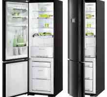 Вградени хладилници Gorenje: ревюта, модели, спецификации и ревюта