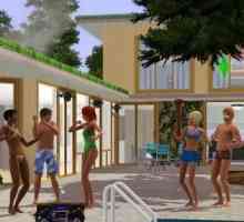 "The Sims 3" излита - какво да правя? Защо "Syms 3" летят?