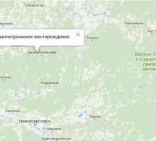 Vyngapurovskoye област: къде е и какви запаси?
