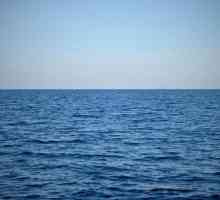Израза "Морето е коляно": смисъла на фразеологията