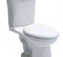 Височина на тоалетната чиния: стандартна. Тоалетна чиния за хора с увреждания. Размери на…