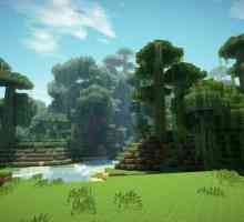 Оцеляване в гората Minecraft: Съвети за начинаещи