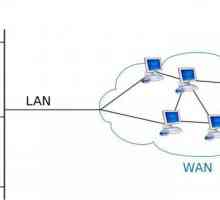 WAN порт: функции и настройки