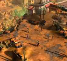 Wasteland 2: проблеми с играта и тяхното решение