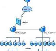Windows Server Update Services (WSUS): Настройка. Актуализацията на WSUS офлайн