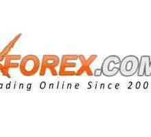 Xforex: мнения за центъра за търговия. Валутни операции Xforex