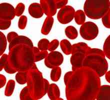 Кръвни заболявания: списък на най-опасните
