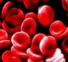 Защо е необходимо да знаете наименованието на кръвната група?