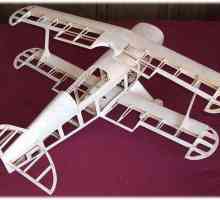 Защо се нуждаем от домашни копия на самолети в ерата на сглобяемите модели