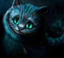 Тайнствената котка Чешир. Какво означава усмивката на Чеширската котка?