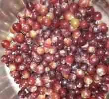 Събиране на грозде за зимата: пастили и домашни стафиди