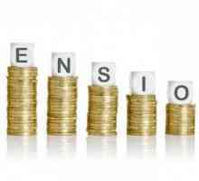 Заявление за назначаване на пенсия: описание на процедурата, изисквания и извадка