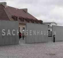 Саксенхаузен е концентрационен лагер. История, описание. Престъпленията на нацистите