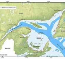 Заливът на св. Лорънс: описание, история и интересни факти