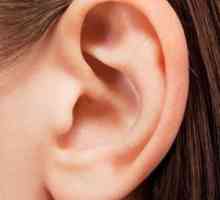 Еякулация на ушите без болка. Причини, диагноза и лечение