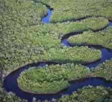 Замбези (реката в Африка), откъде произхожда и къде тече? Замбези: източник, дължина,…