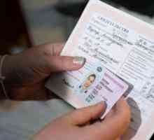 Замяна на шофьорска книжка с промяна на фамилното име: срокове, документи