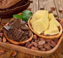 Заместител на какаово масло: свойства, видове, ползи и вреди
