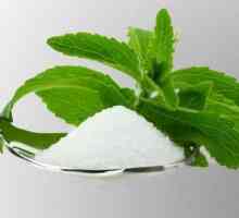 Заместител на захарта Stevia. Естествени подсладители