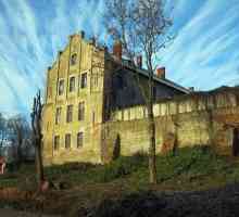 Castle Georgenburg: снимка, адрес, екскурзии