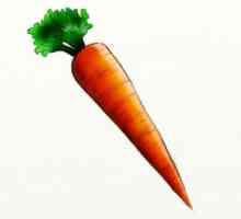 Уроци с деца: как да изготвя моркови на етапи