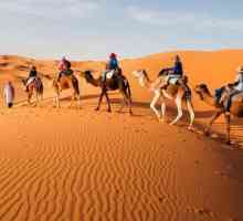 Западна Сахара: История и икономика
