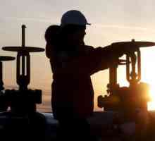 Западна сибирска петролна база: географско местоположение, характеристики, перспективи, проблеми,…