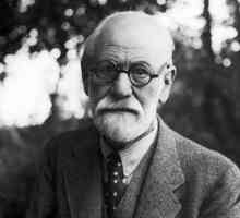 Защитни механизми на Фройд с примери. Книги по психология, които си заслужават да четат
