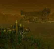 `Sunken Temple` - тъмница в играта` Myth Warcraft `