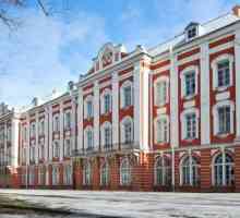 Сградата на Дванадесетте колежа в Санкт Петербург: описание, стил, снимка