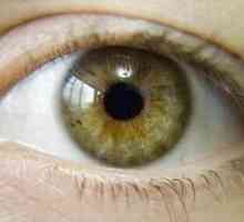 Зелено-кафяви очи: характерни