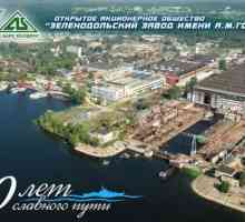 Зеленодолски корабостроителен завод, кръстен на Горки: перспективите на компанията