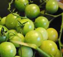 Зелени домати под капачка на капрок - рецепти за готвене