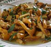 Пържени канелета: рецепта с лук, картофи и заквасена сметана
