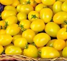Жълти домати за зимата: рецепти
