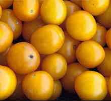 Жълти домати: описание, добив, сортове. Жълти домати: полезни свойства