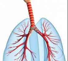 Витален капацитет на белите дробове и методи за тяхното определяне