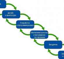 Цикъл на живот на софтуера: концепция, стандарти, процеси