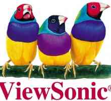 ViewSonic LCD монитори: функции и обратна връзка