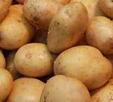 "Жуковски" (ранен картоф): отзиви. Картофи семена "zhukovsky"