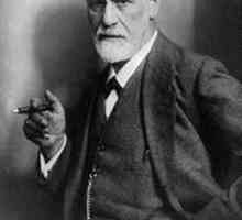 Зигмунд Фройд е основател на психоанализата. Какво означава Фройд от нашето поведение?