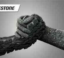 Зимни гуми `Bridgestone`: ревюта. Зимни гуми "Bridgestone": становището…