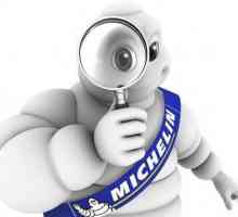 Зимни гуми "Michelin": ревюта на собствениците