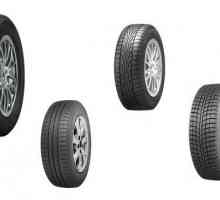 Зимни гуми `Tunga`: рецензии, описания, характеристики и отговори.