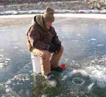 Зимен риболов на Волга: характеристики, препоръки и интересни факти