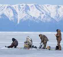 Зимен риболов в района на Мурманск: снимки и отзиви
