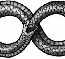 Змията е символ на какво? Положителни и отрицателни стойности на изображението