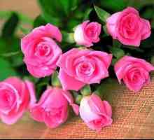 Значението на цвета на розите или как да изберем точния подарък